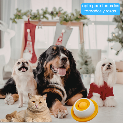 Comedero Interactivo Tipo Rolón