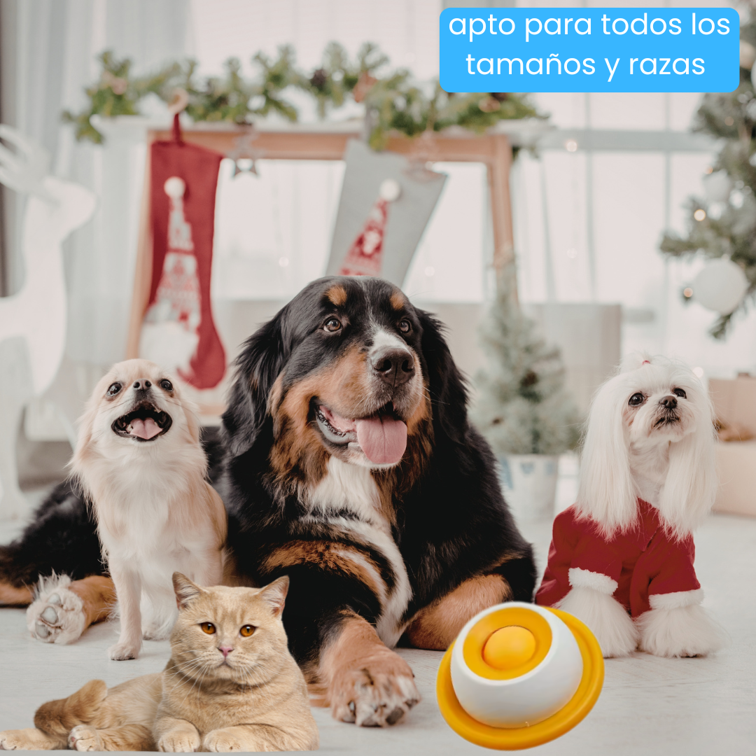 Comedero Interactivo Tipo Rolón