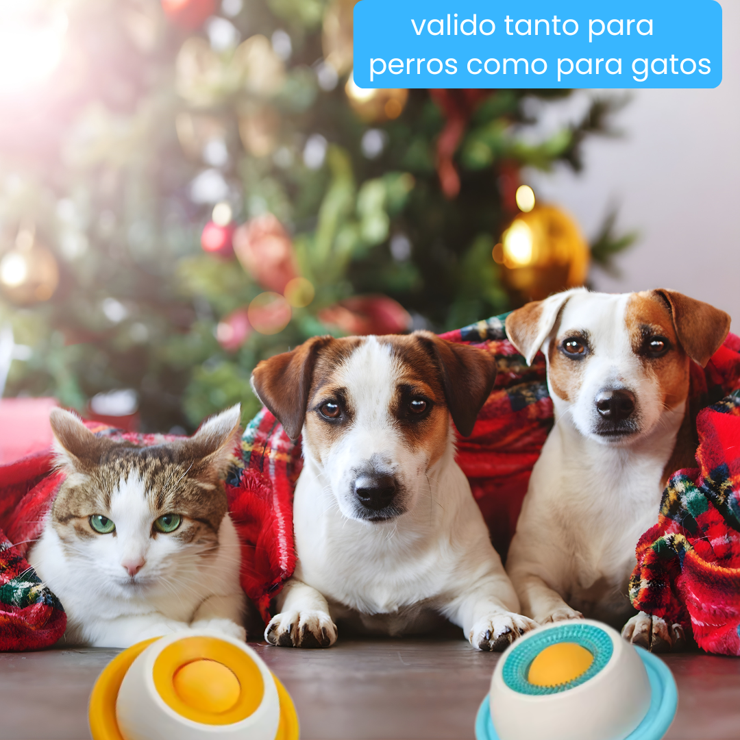 Comedero Interactivo Tipo Rolón